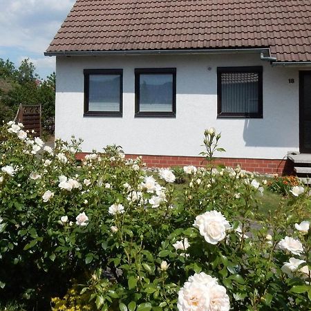Fewo Am Sassenberg Blankenburg  Ngoại thất bức ảnh
