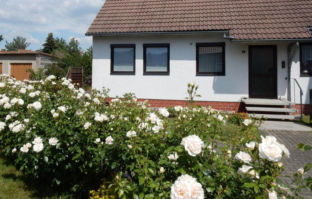 Fewo Am Sassenberg Blankenburg  Ngoại thất bức ảnh